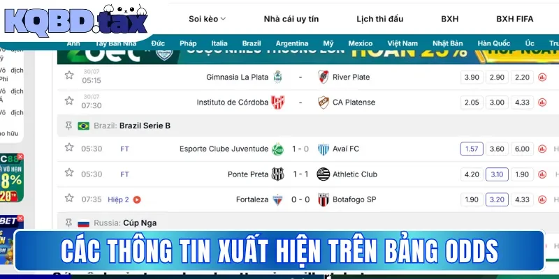 Các thông tin xuất hiện trên bảng Odds