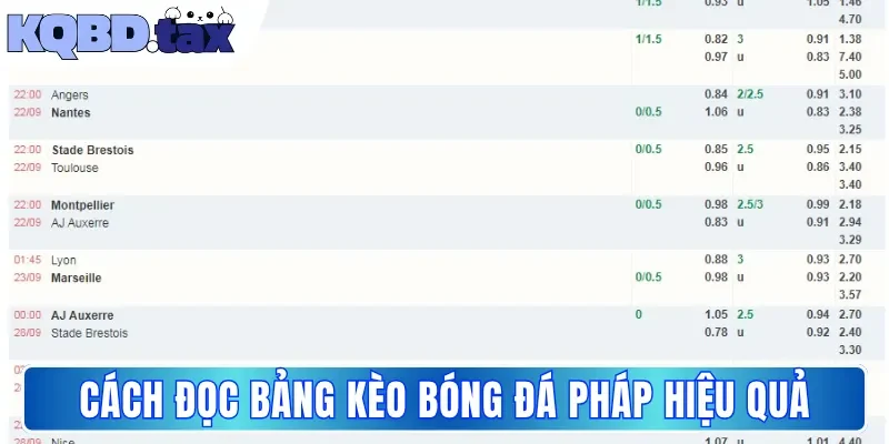 Cách đọc bảng kèo bóng đá Pháp hiệu quả