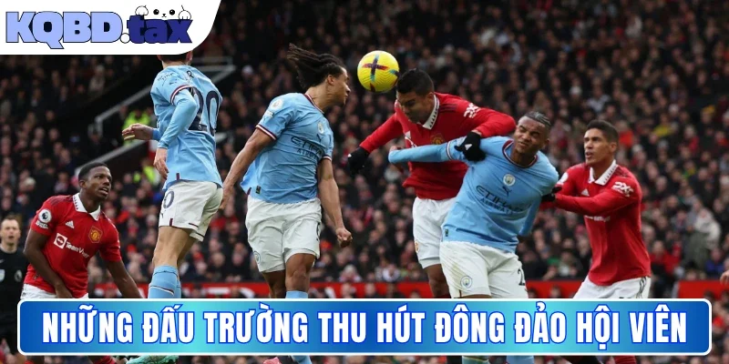 Những đấu trường thu hút đông đảo hội viên