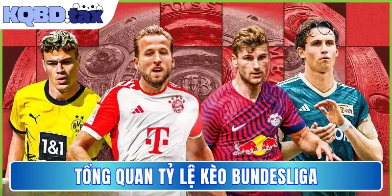 Tổng quan tỷ lệ kèo Bundesliga